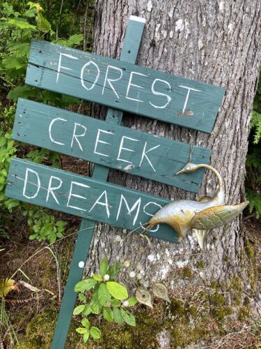 Forest Creek Dreams 